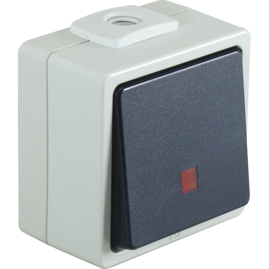 OPUS® AQUA (puls) schakelaar met verlichting Controle schakelaar Uit/wissel, rode lens lichtgrijs/st