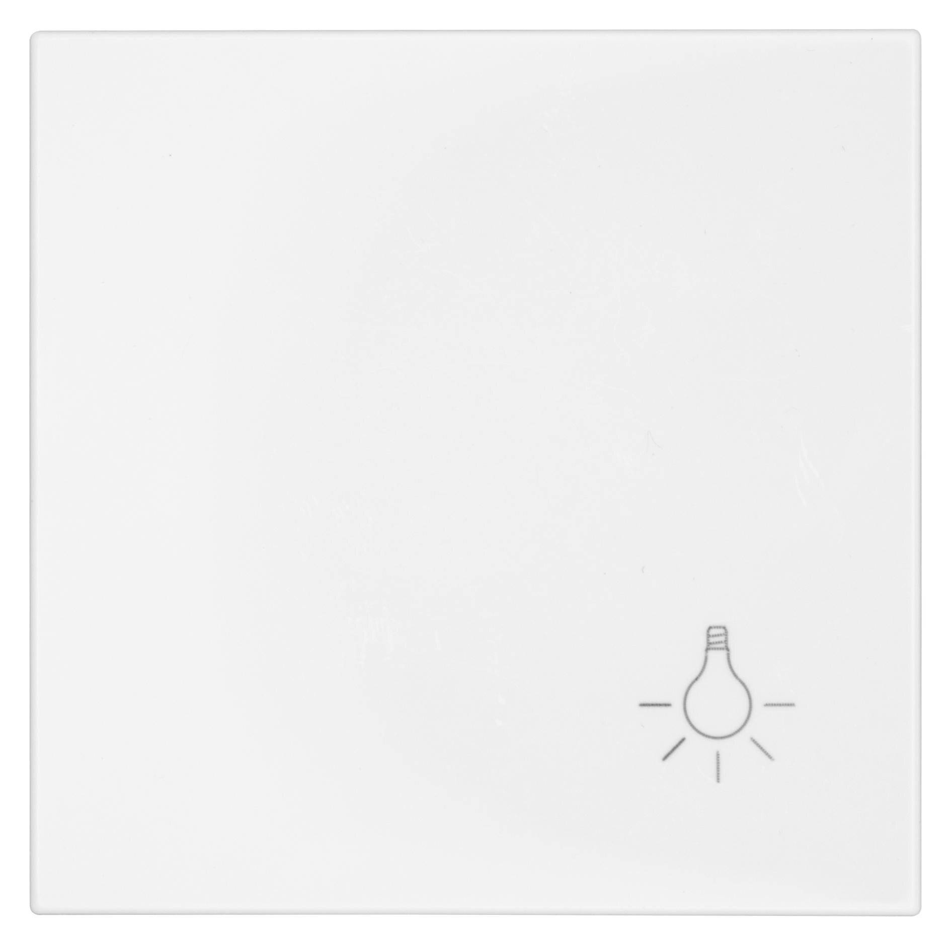 OPUS 55 bedieningselement wisselschakelaar polarwit met lamp symbool enkelvoudig