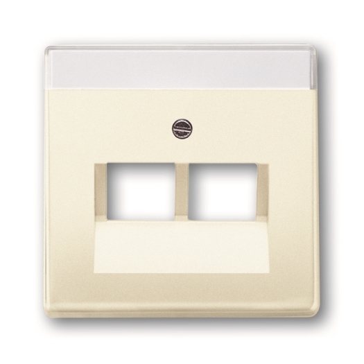 cpl v datadoos 2 x RJ45 s-ivoor