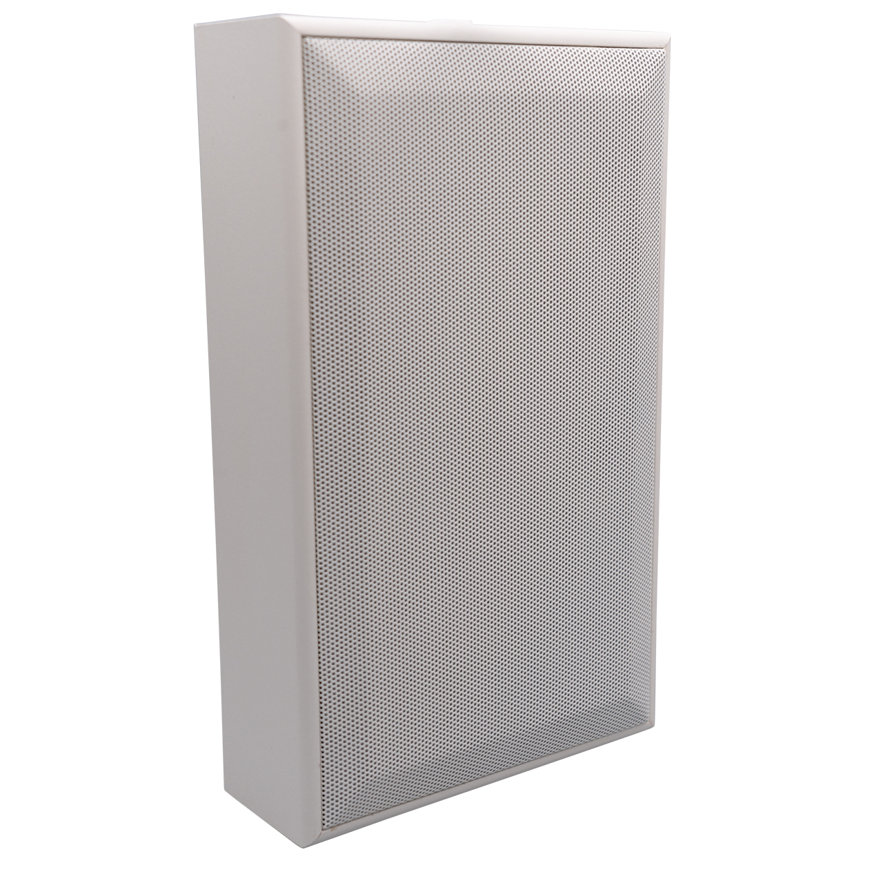 Wandluidspreker van hout, 100 V 100V
