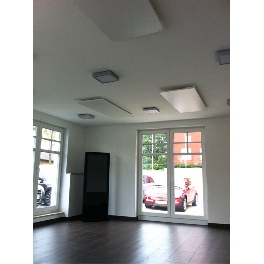 ETHERMA Lava basic DM plafond infrafood verwarming 750 W