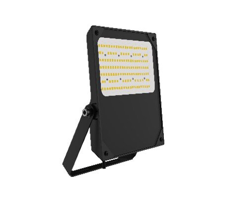 Floodlight LED straler instelbaar 100W 160l/w 5000k Klasse II IK08 IP66