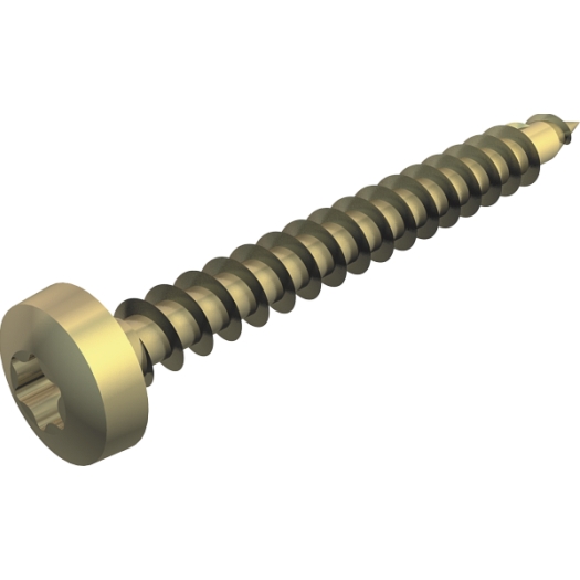 Golden Sprint schroef Panhead, aandrijving T-Drive 4x40mm, St, GGP